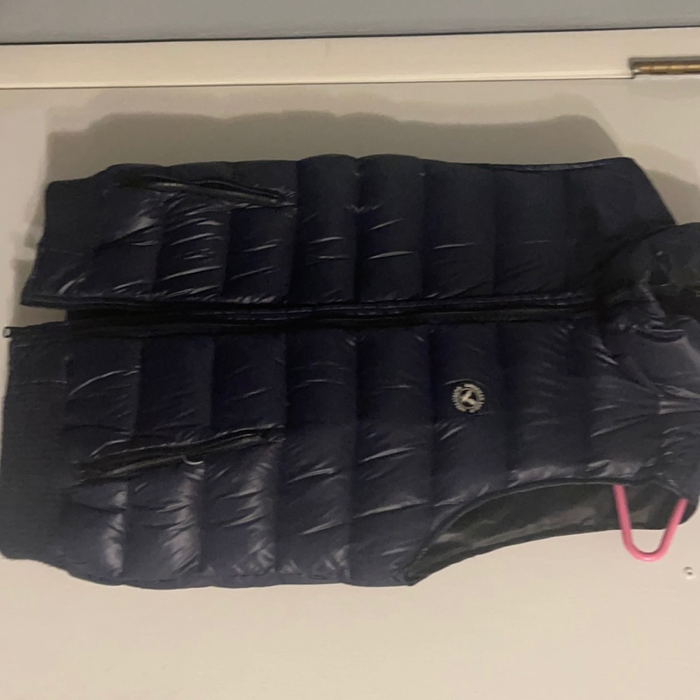 American eagle vest